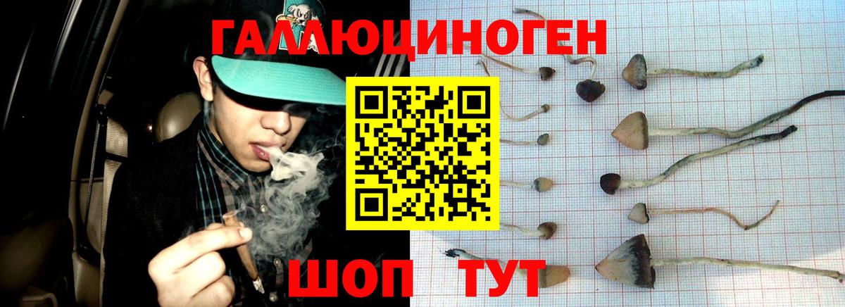 Псилоцибиновые грибы прущие грибы Северск