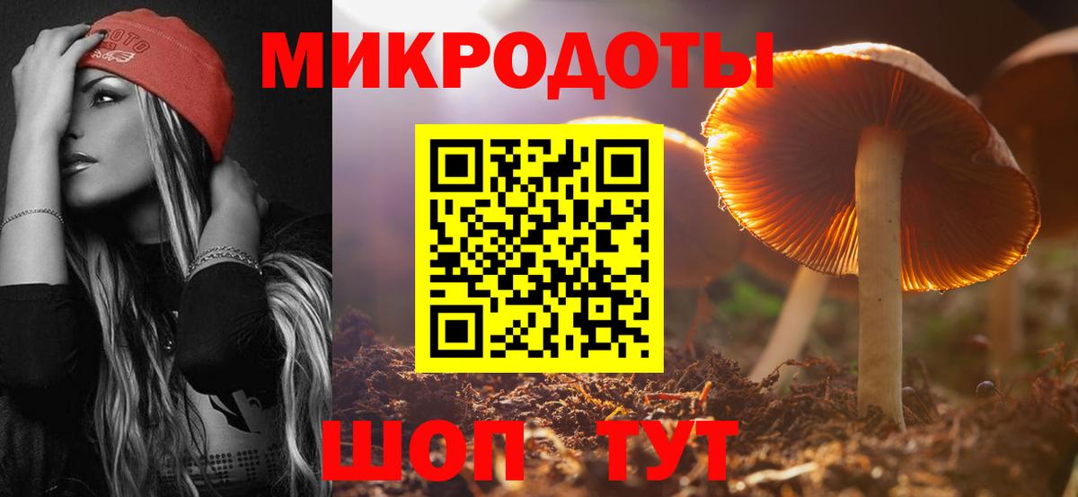 где купить   Галлюциногенные грибы MAGIC MUSHROOMS  Вход с VPN  Северск  Галлюциногенные грибы мухоморы 