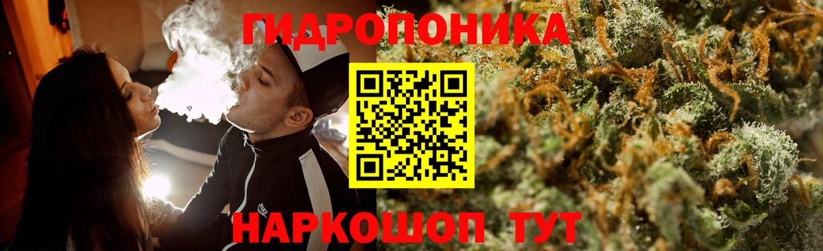 Канабис Amnesia Северск